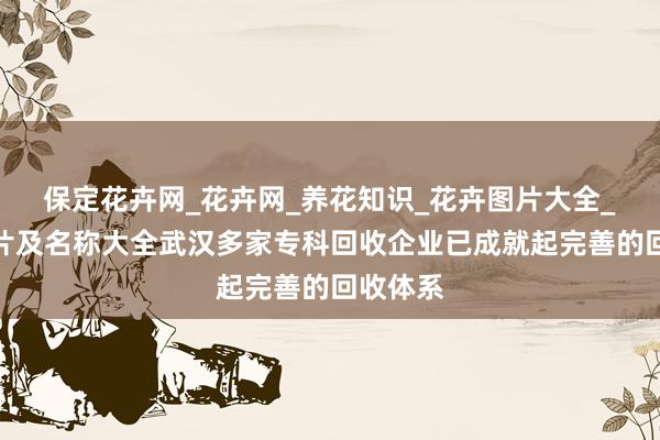 保定花卉网_花卉网_养花知识_花卉图片大全_花卉图片及名称大全武汉多家专科回收企业已成就起完善的回收体系
